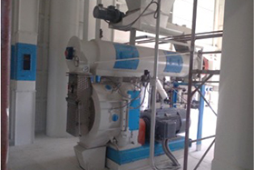Feed Mill Project